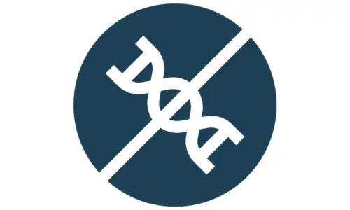 Road Trip Mushroom Gummies Vegan